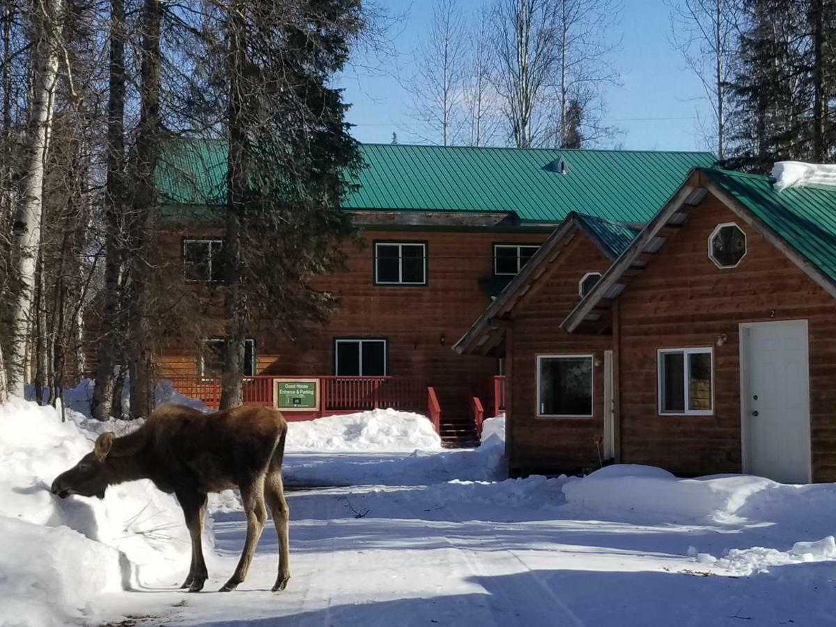 Talkeetna Hideaway Hotel Kültér fotó